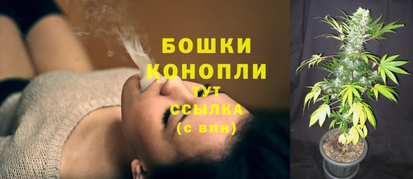 шишки Абдулино