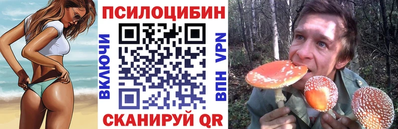blacksprut сайт Краснозаводск Галлюциногенные грибы GOLDEN TEACHER